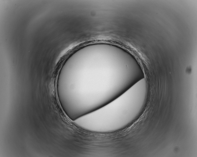 X0000099421262200805090742