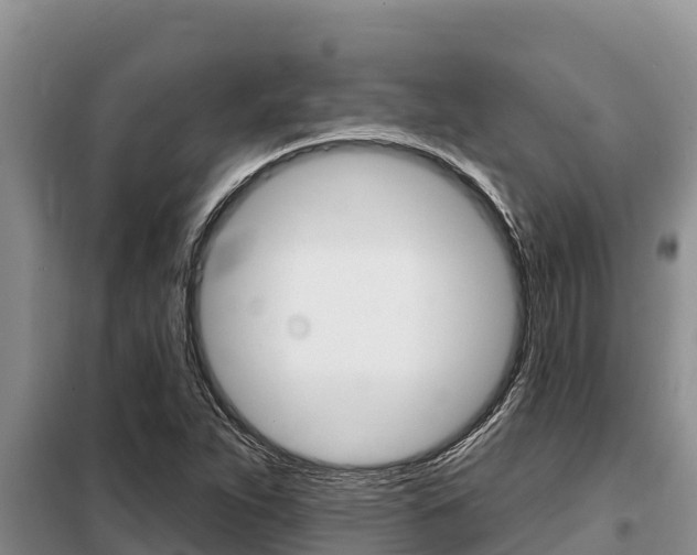 X0000099421263200805090742
