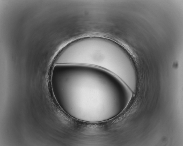 X0000099421264200805090742