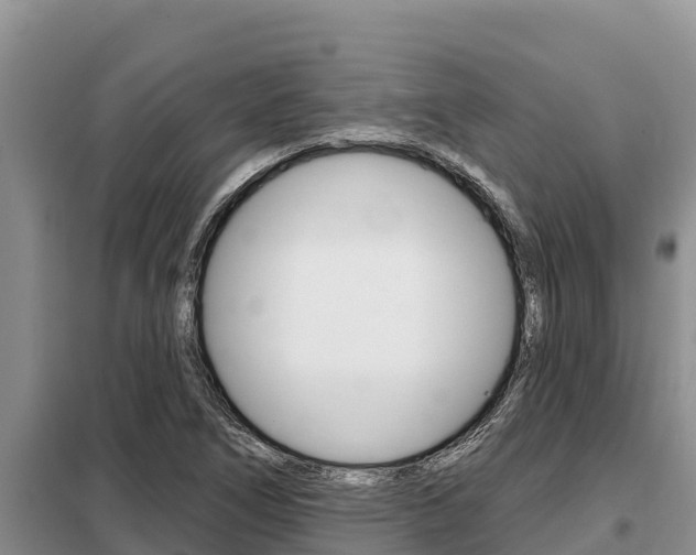 X0000099421266200805090742