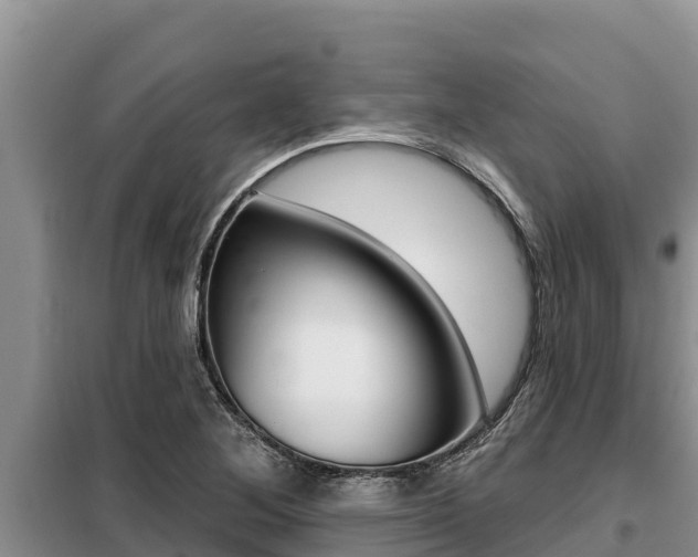 X0000099421268200805090742