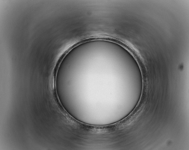 X0000099421269200805090742