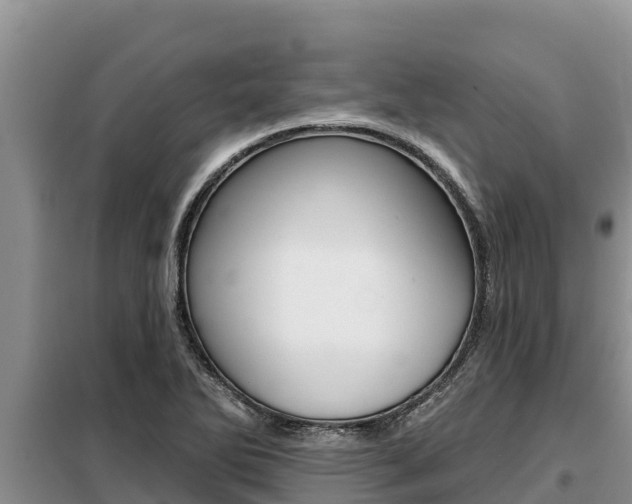 X0000099421270200805090742