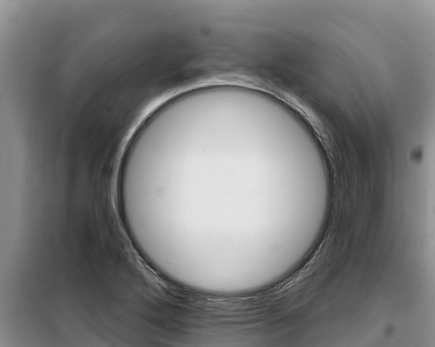 X0000099421272200805090742