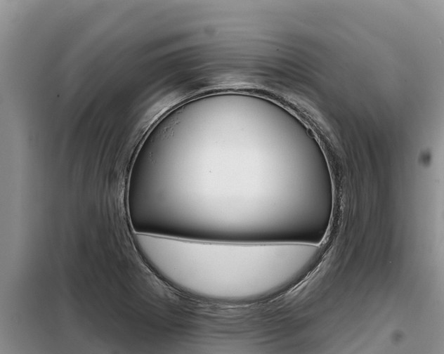 X0000099421273200805090742