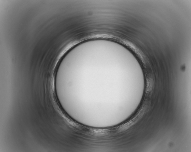 X0000099421274200805090742