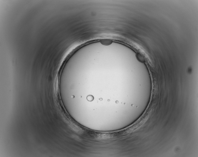 X0000099421275200805090742