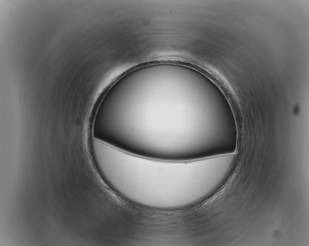 X0000099421277200805090742