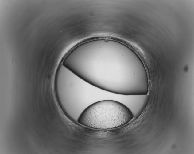 X0000099421279200805090742
