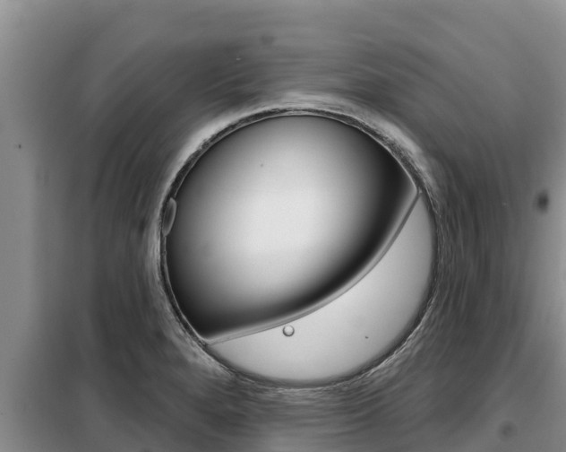 X0000099421280200805090742