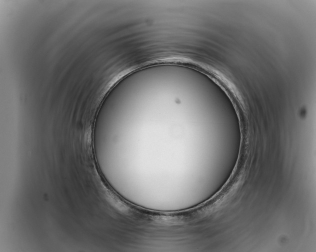 X0000099421281200805090742