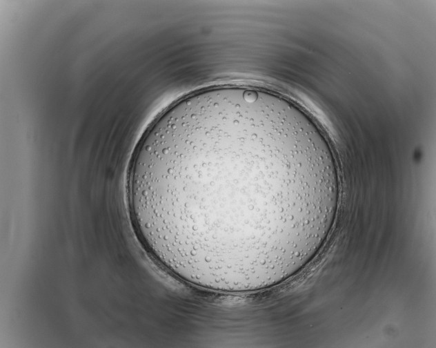 X0000099421283200805090742