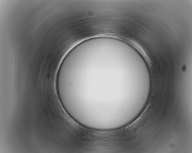X0000099421284200805090742