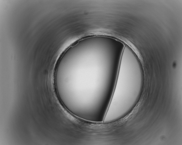 X0000099421285200805090742