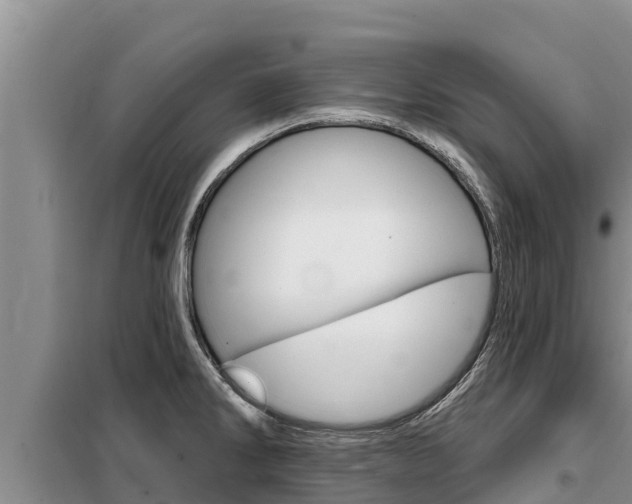 X0000099421286200805090742
