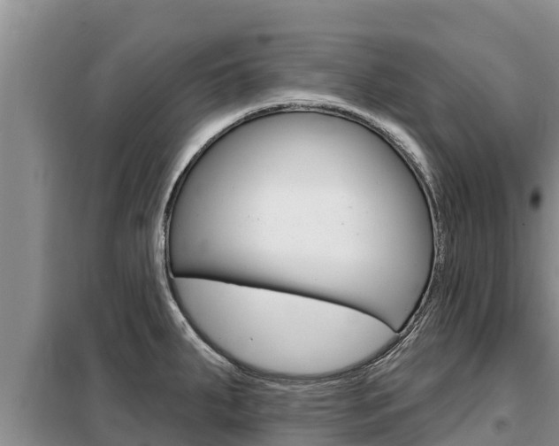 X0000099421287200805090742