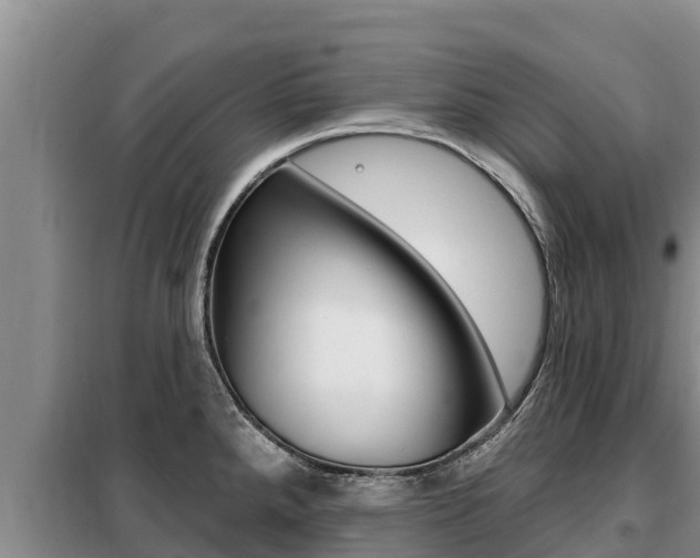X0000099421288200805090742