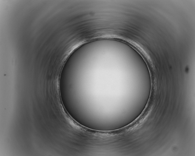 X0000099421289200805090742