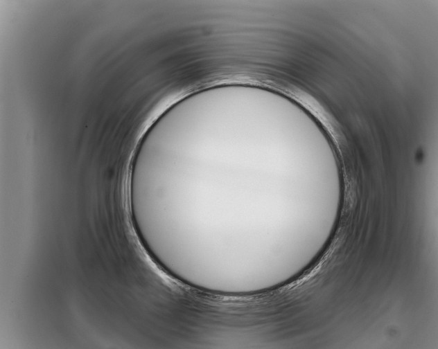 X0000099421290200805090742