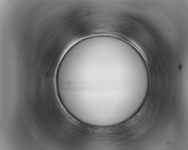 X0000099421291200805090742