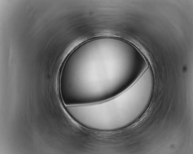 X0000099421293200805090742