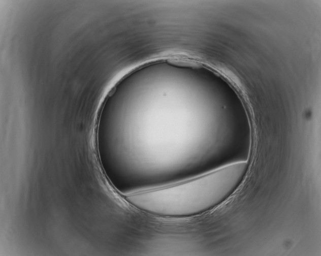X0000099421296200805090742