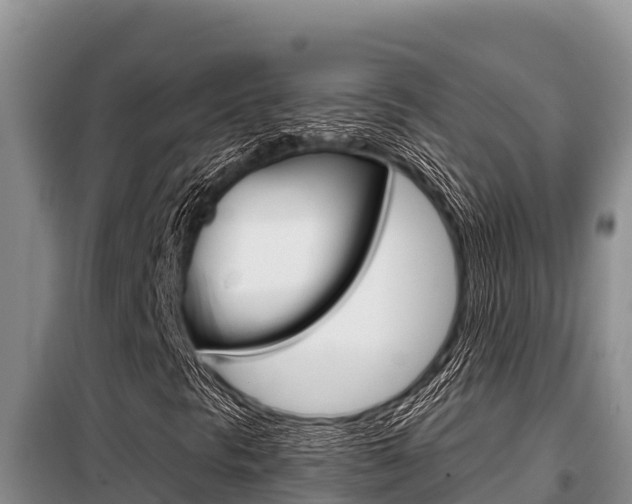 X0000099421297200805090741