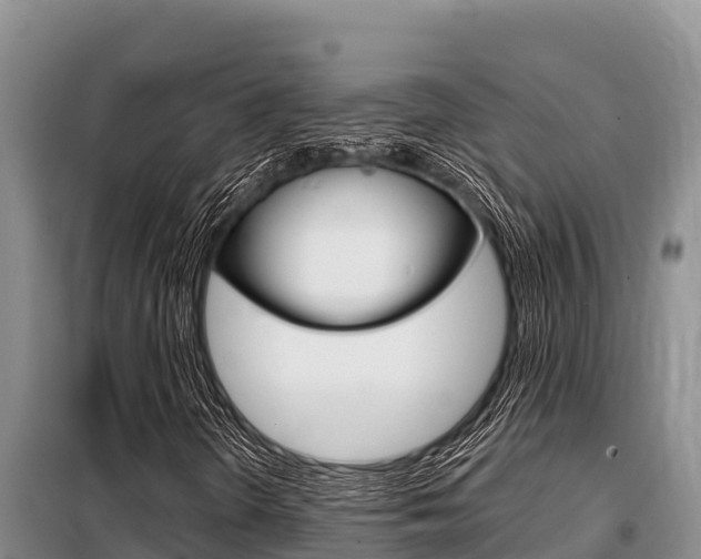 X0000099421298200805090741