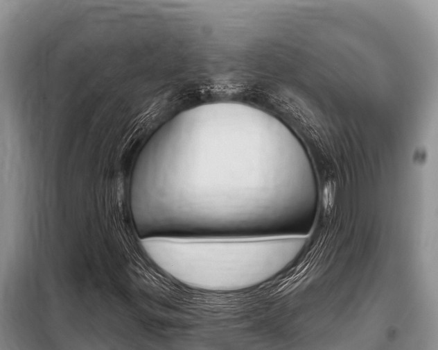 X0000099421299200805090741