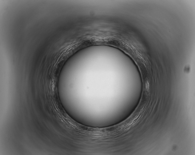 X0000099421300200805090741