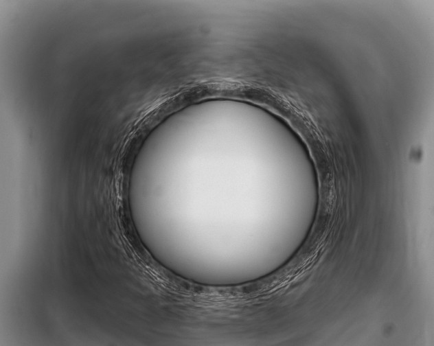 X0000099421301200805090741