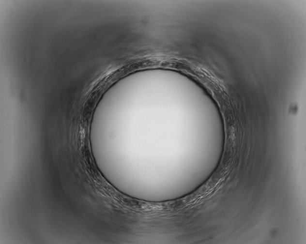 X0000099421302200805090741
