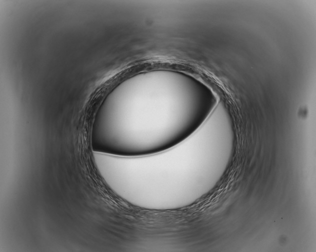 X0000099421303200805090741