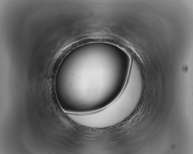 X0000099421304200805090741