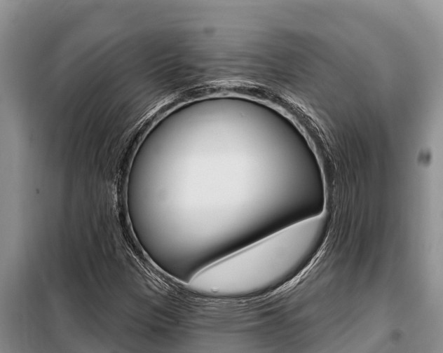 X0000099421305200805090741