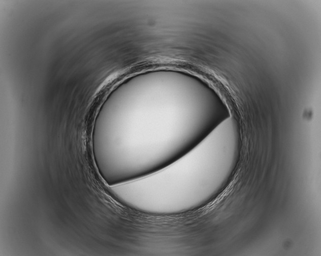 X0000099421306200805090741