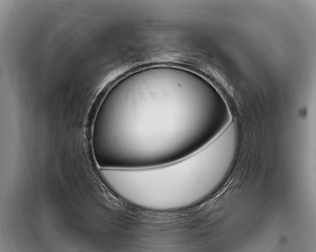 X0000099421308200805090741