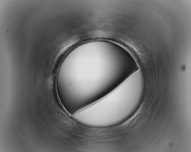 X0000099421309200805090741