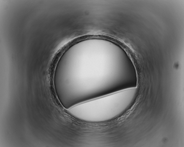 X0000099421311200805090741