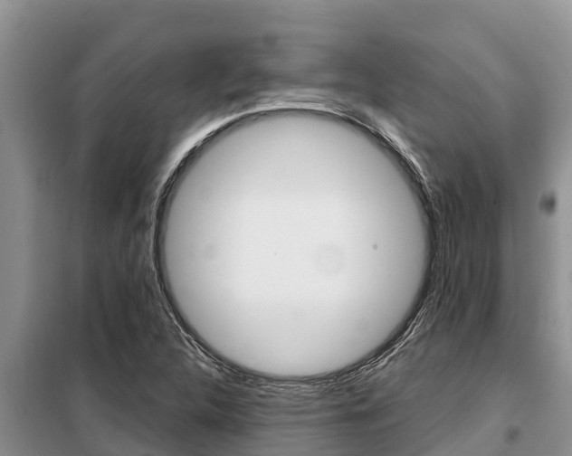 X0000099421312200805090741