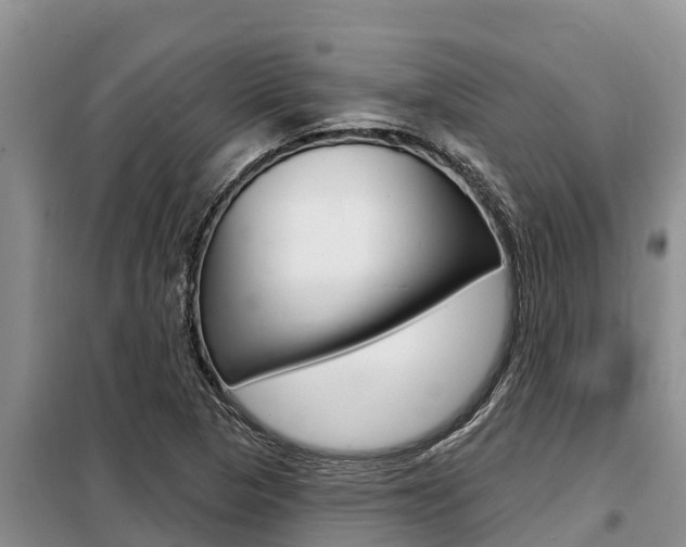 X0000099421313200805090741