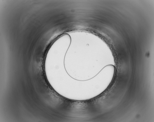 X0000099421314200805090741
