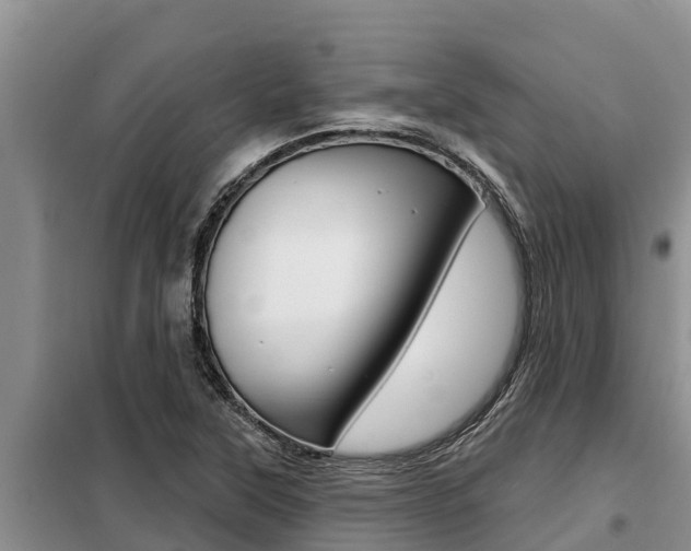 X0000099421315200805090742