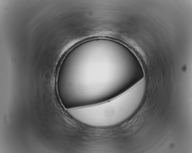 X0000099421316200805090742