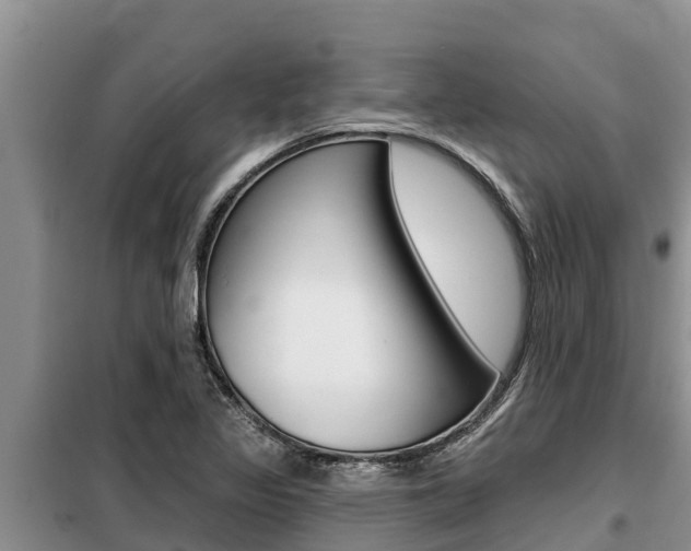 X0000099421317200805090742