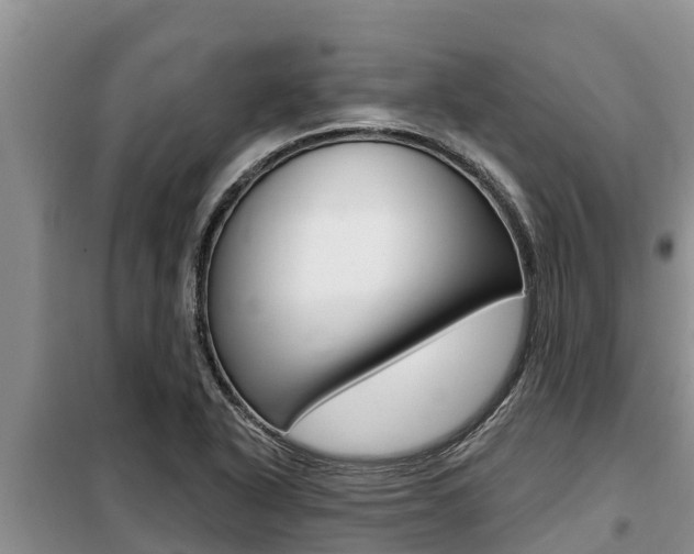 X0000099421318200805090742
