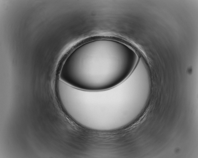 X0000099421319200805090742