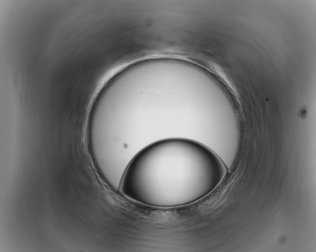 X0000099421320200805090742