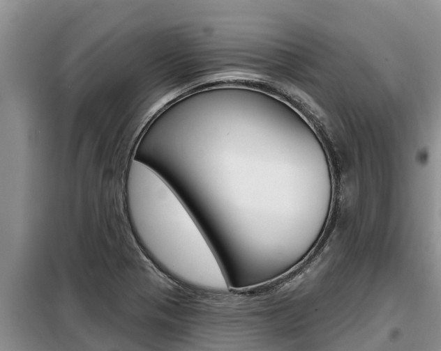 X0000099421321200805090742