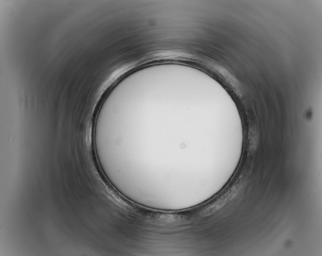 X0000099421322200805090742